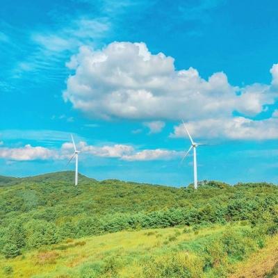 2024来了！上海龙华古寺撞钟迎新，浦东开年健康跑