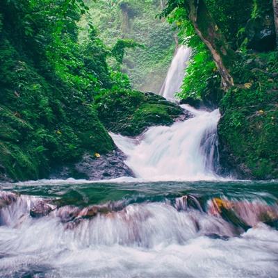 #7 自洽之旅