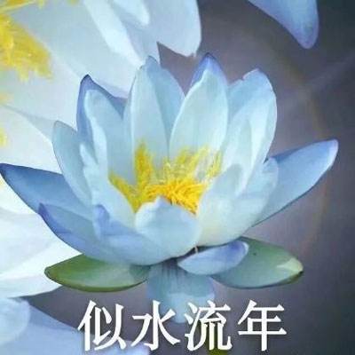 作为演员，拍吻戏是种怎样的体验？