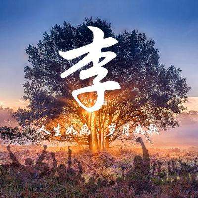 内蒙古鄂尔多斯市康巴什区:网格学院助力基层治理专业化