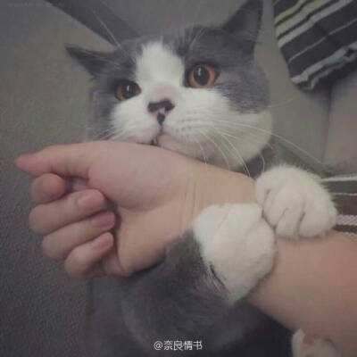 PG电子娱乐平台