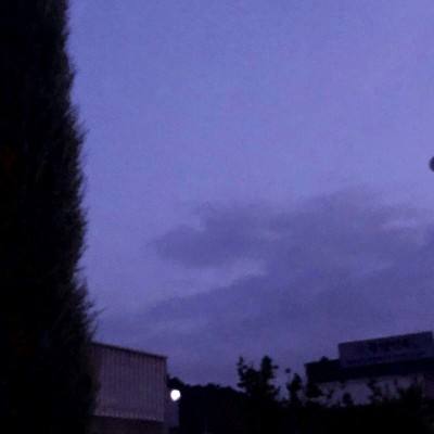 加快推进中医药现代化