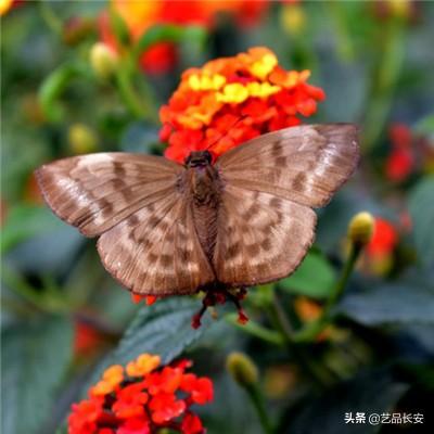 独立开发变现周刊（第113期） : 10天内建立了一个SaaS，摆脱了朝九晚五的生活