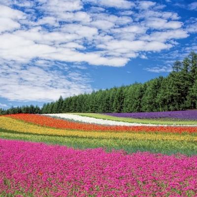 新华全媒+丨聚焦世界精神卫生日：促进儿童心理健康 共同守护美好未来