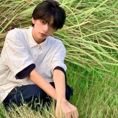 生活不易！狗狗们互相配合表演跨栏