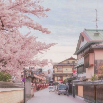 中老铁路老挝段单日旅客发送量创新高