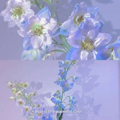 清明节，以崇高礼仪迎接志愿军英烈魂归故土