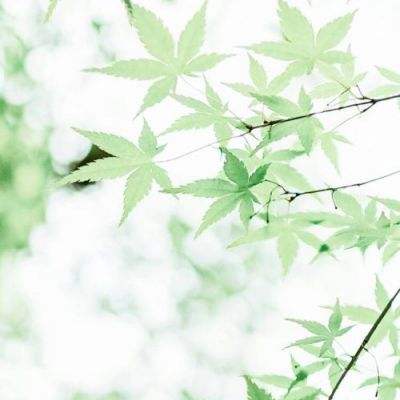 “中国元素”精彩亮相驻摩洛哥外交使团义卖活动