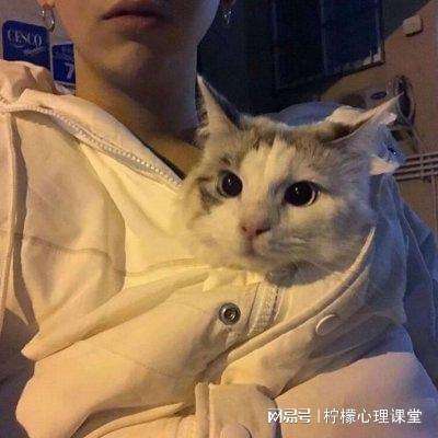 鸡翅玉米煲