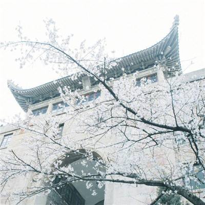 南京因疫情防控处理多人 副市长市卫健委主任在列
