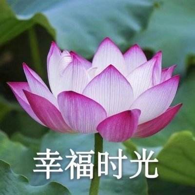 你镜头下的2024跨年瞬间