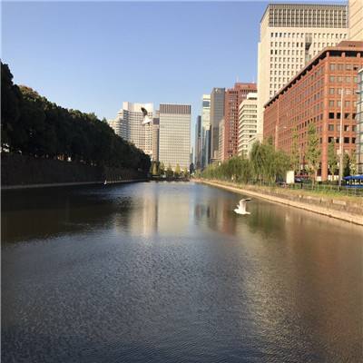战斗机飞行员出任地级市副市长