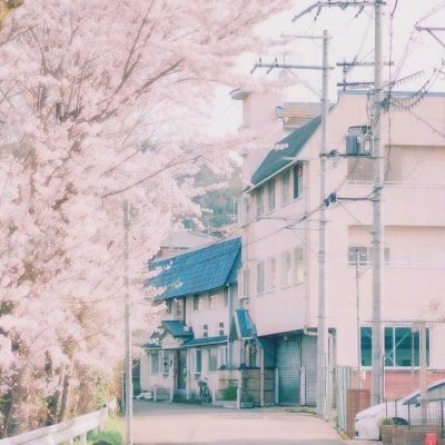 合宪性审查稳步推进 备案审查制度走向刚性