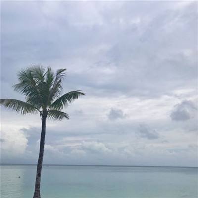 更好探究古代丝路文明