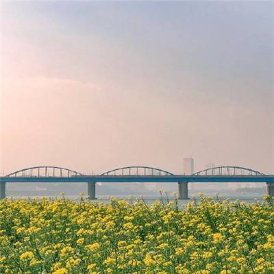 群星璀璨，杨浦举行“百姓艺苑”社区与院团结对共建成果展演