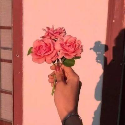 感受大运会的“成都味道”