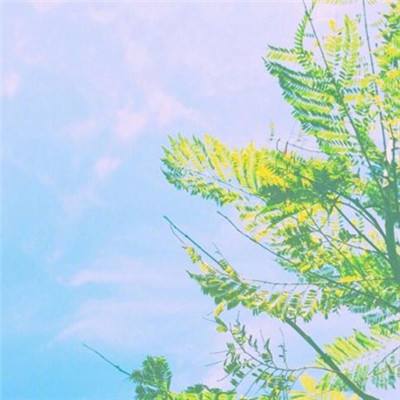 多省市“十四五”加码碳达峰布局