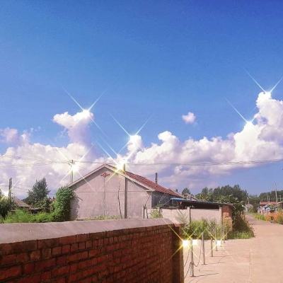 中国警方2023年查获长江非法渔获物14.1万公斤