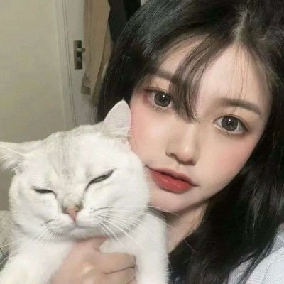 BOB综合手机