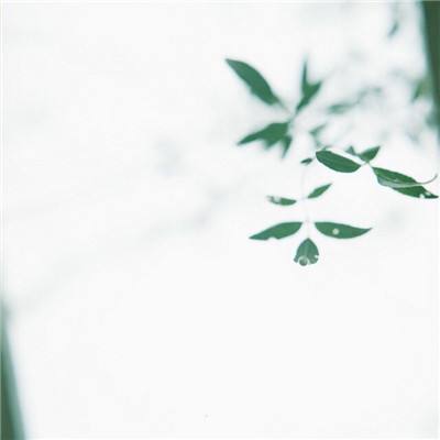 太阳集团棋牌娱乐