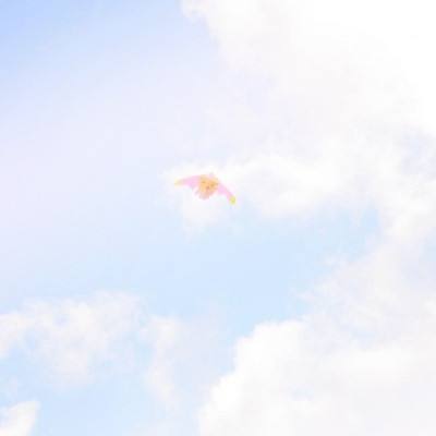 美媒曝光密件：美政府曾施压要求巴前总理伊姆兰·汗下台