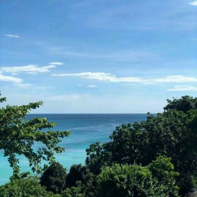 生态环境部（国家核安全局）相关负责人就日本启动福岛核污染水排海答记者问
