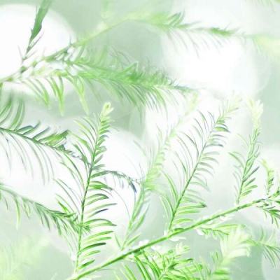 南京：铭记历史，守护和平