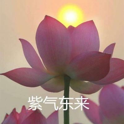 以消费为桥，谋共赢之道