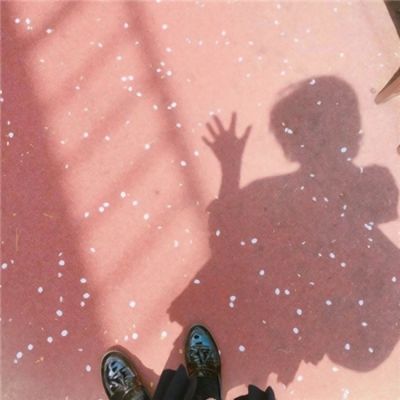 ky体育APP官网下载