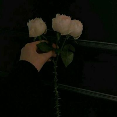 长虹美菱向武汉捐赠107万元医疗设备物资